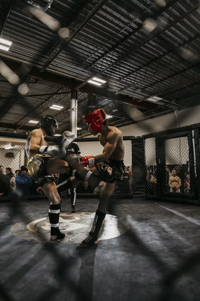 Sparring in a cage: a teep pushed into the midsection from a chambered knee — the chamber Form Fighter looks for before the push.